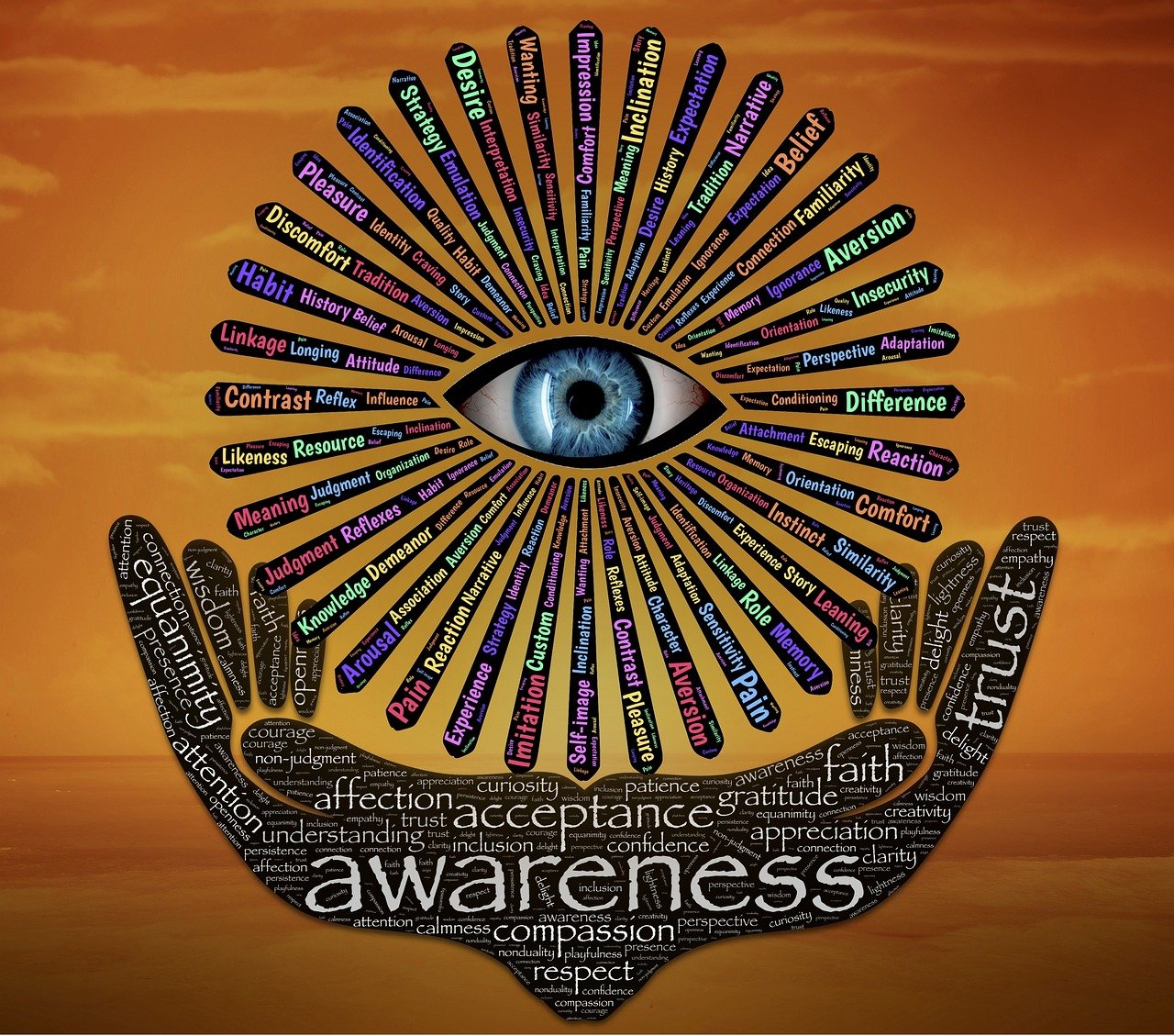 电影毒舌,深度剖析与反思的启示