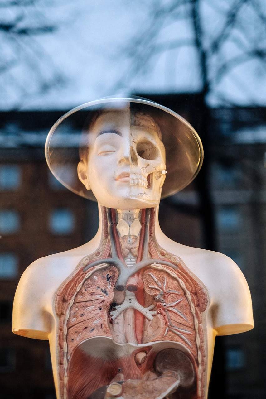 西安医学院更名最新动态,迈向新征程的医药学府