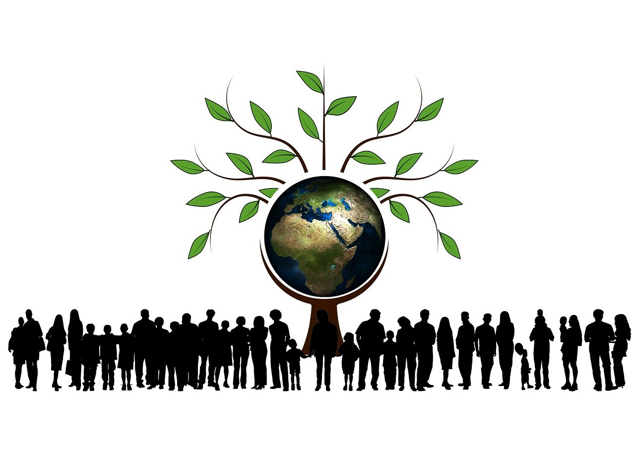 全球能源市场趋势解析,最新油品资讯动态报告