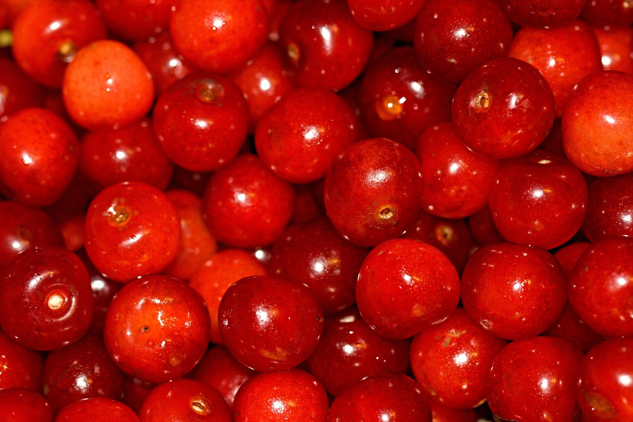 樱桃早上市,尝鲜甜,享季节喜悦