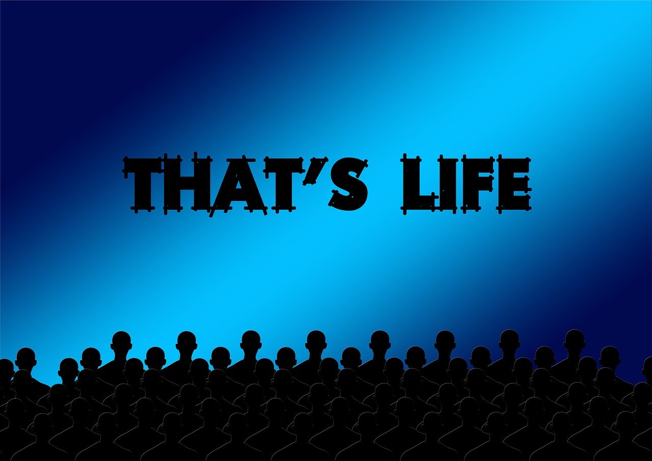 猛虎还活着,电影的力量与启示。