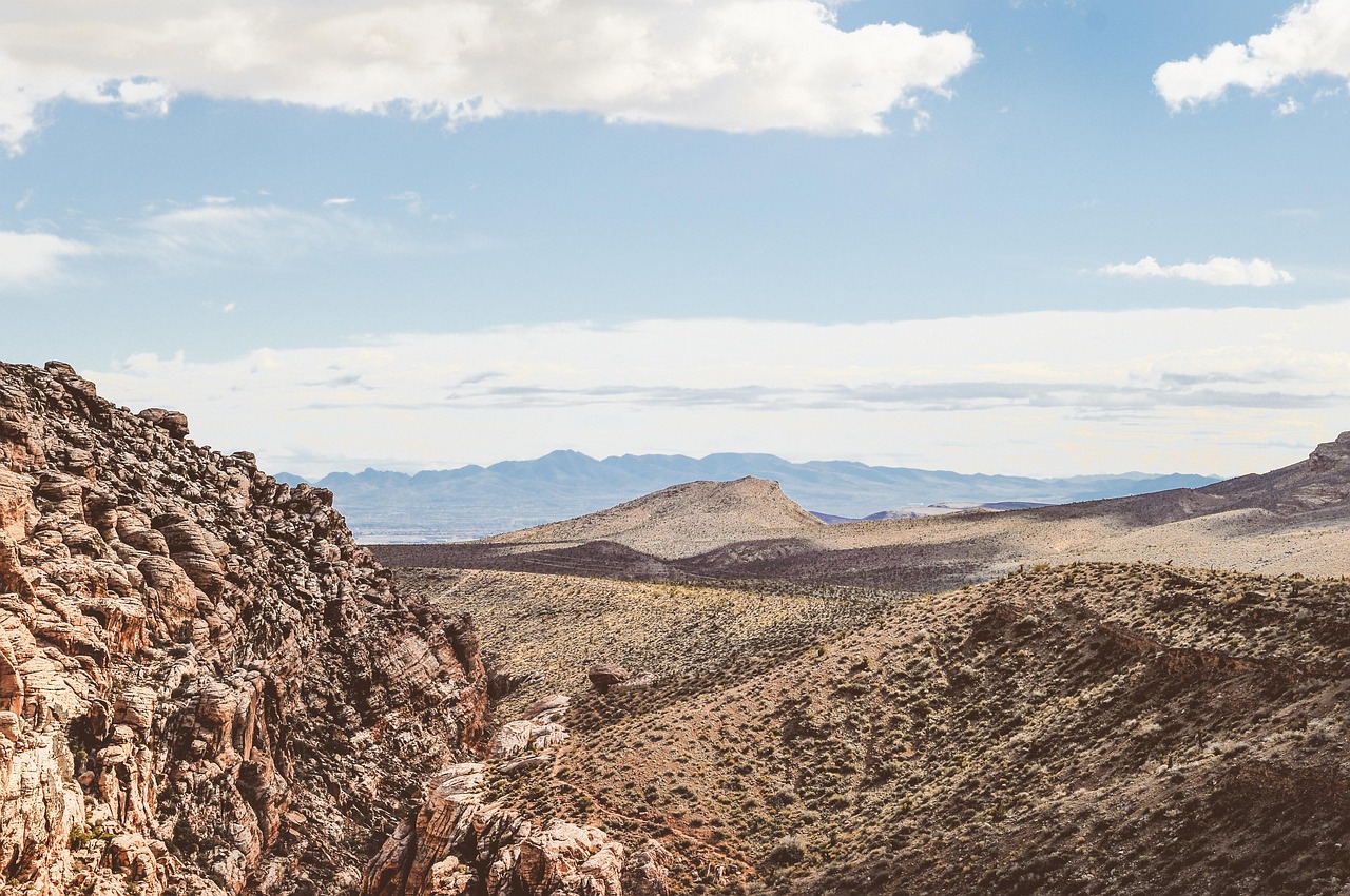 探索最新地址下的1024社区,最新动态与发现
