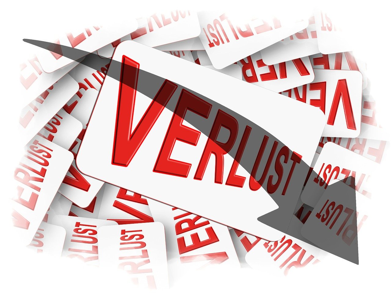 英德市金鑫城最新资讯报道概览