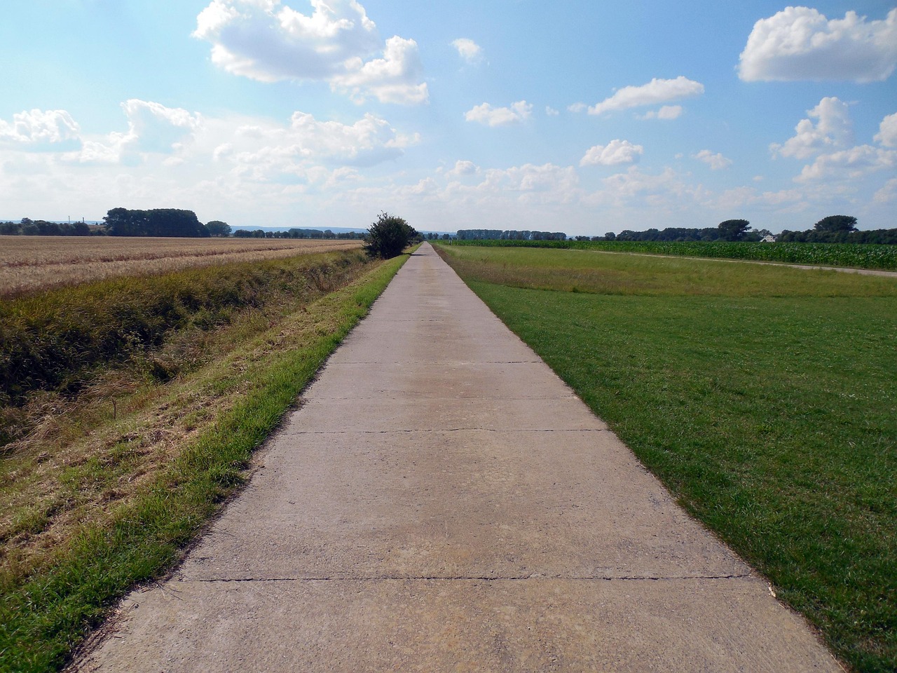 美伊最新动态,两国关系的演变、挑战与前景分析