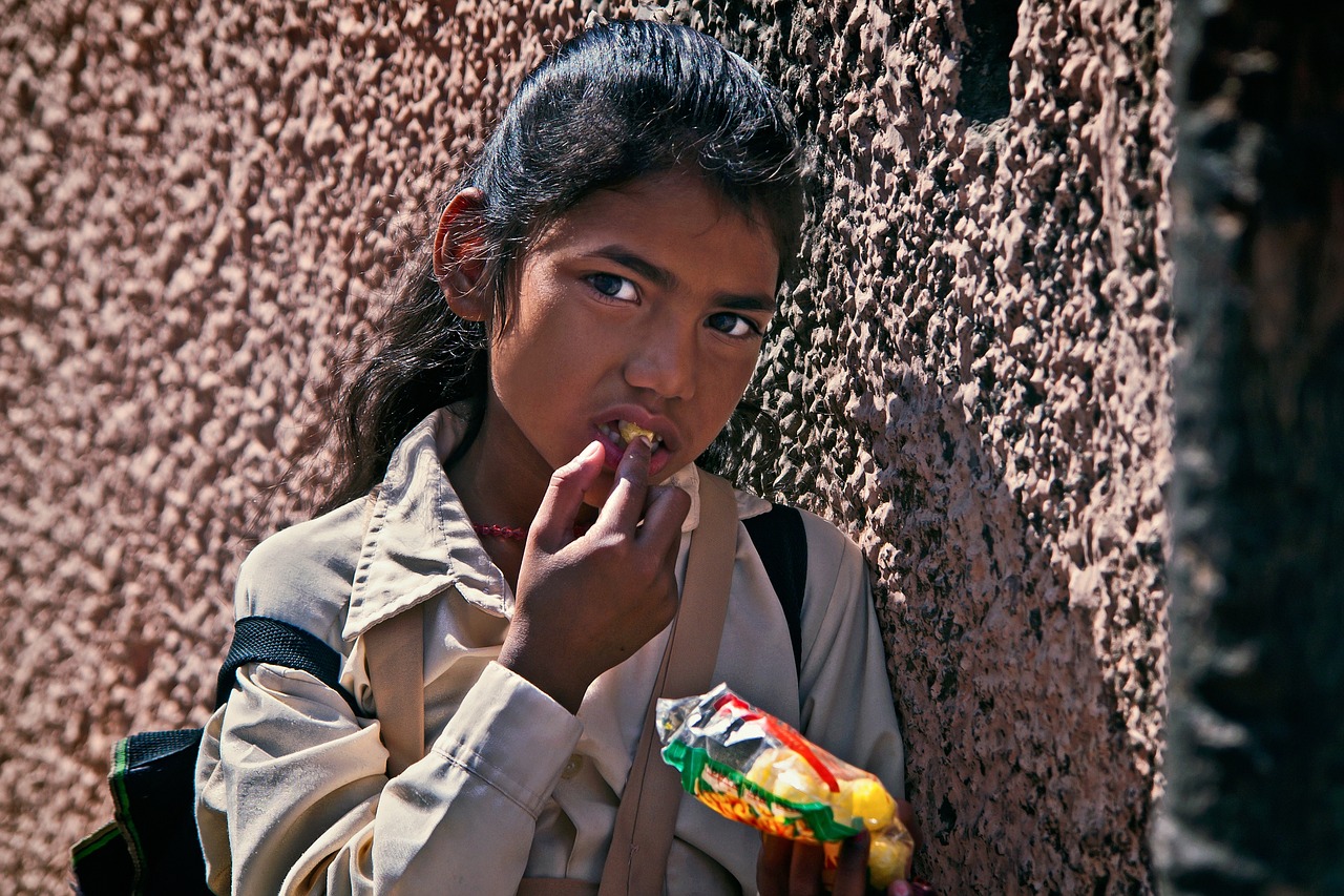 明星与翻译,跨越文化与语言的魅力之旅