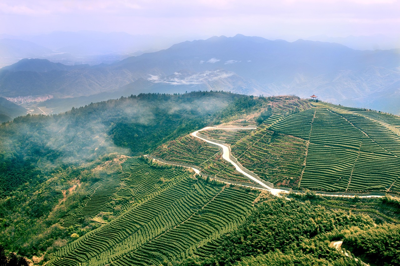 八斗猎最新动态,引领新时代的猎奇之旅
