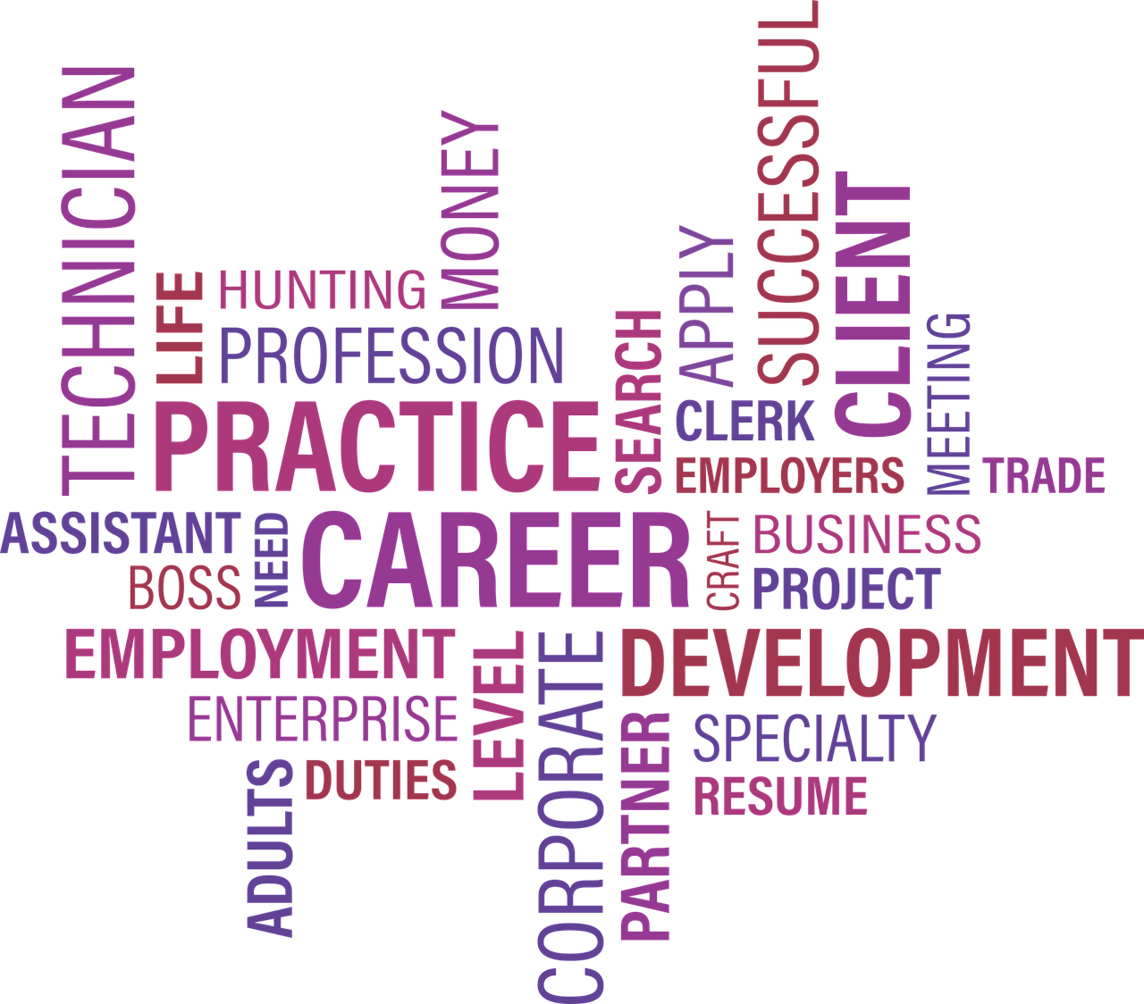 邳州市驾驶员招聘信息,职业机会与未来展望解析