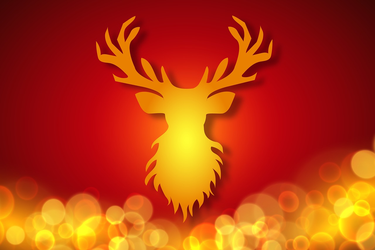 蔓草离离 第13页