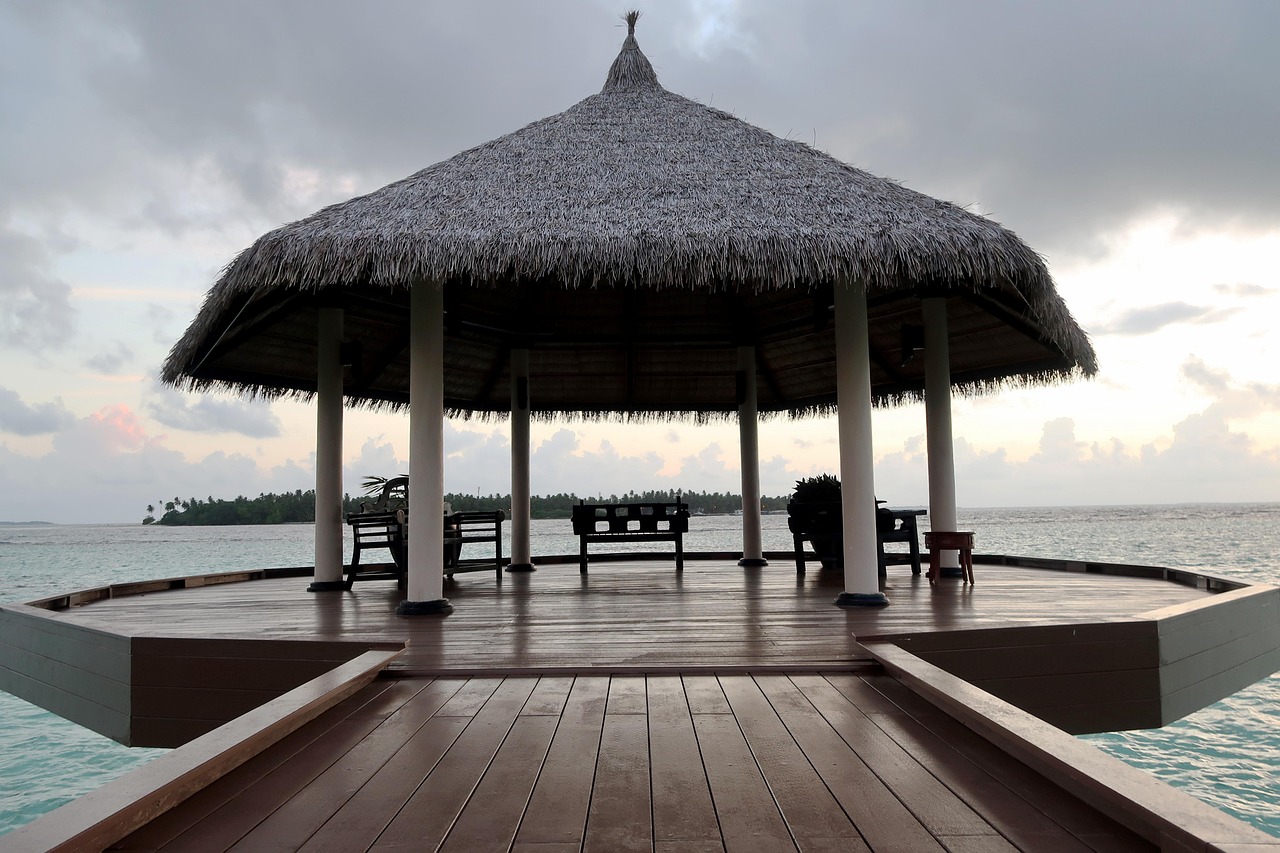 小安琪最新动态,闪耀之星,不断前行之路