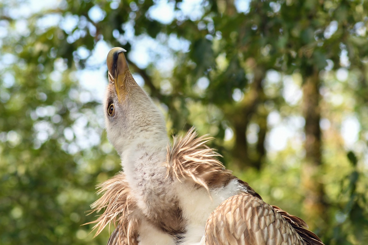 新材料股票最新动态及市场趋势与前景展望分析