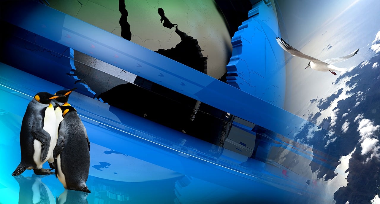 最新电影大全,探索电影的魅力世界