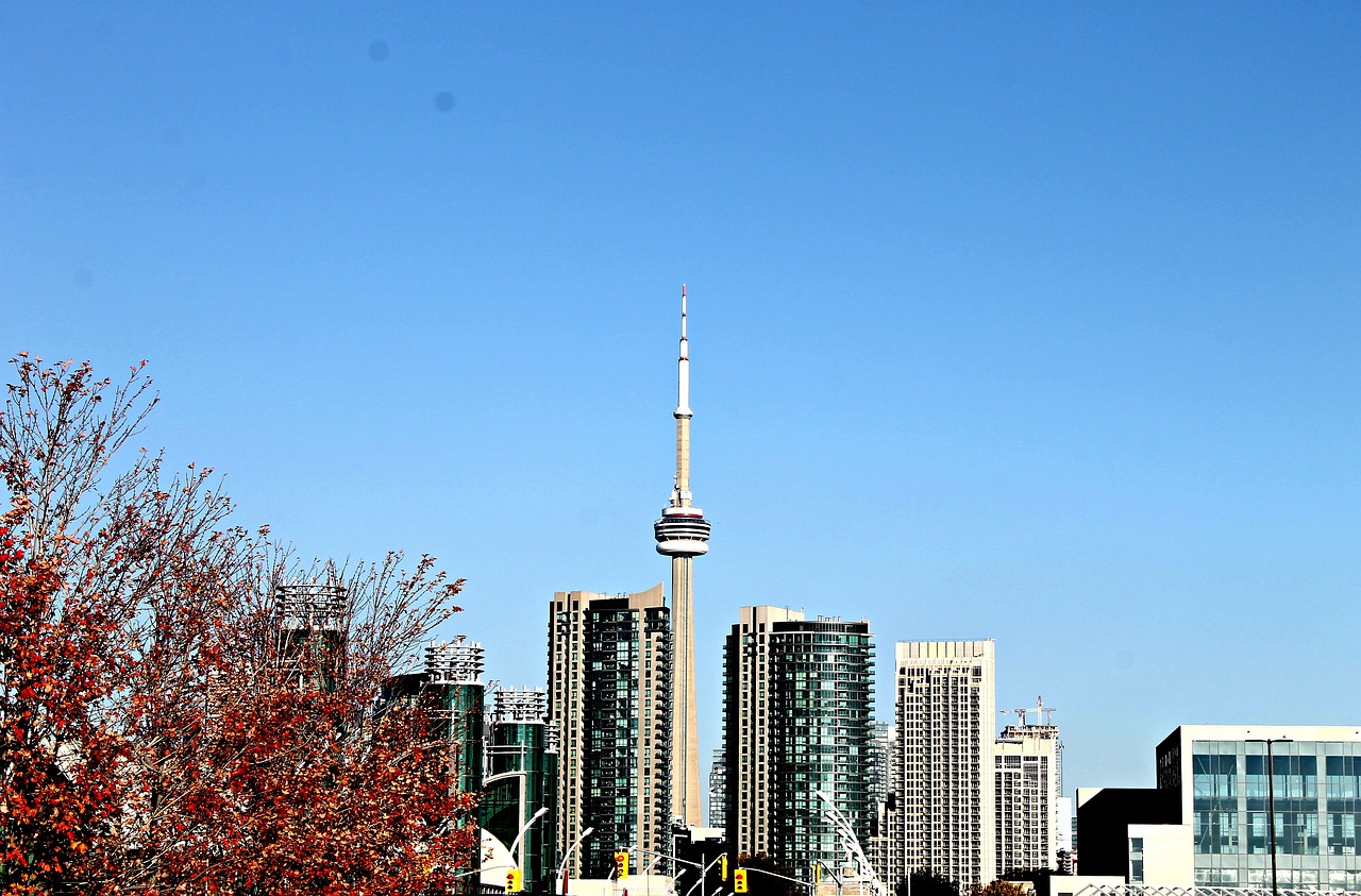 搖到月亮灣 第13页