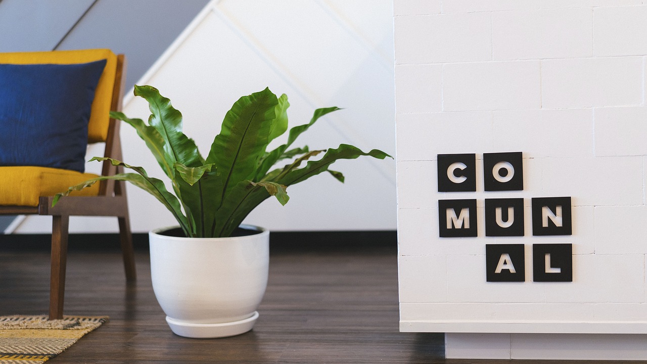 澳洲股市行情软件,洞悉市场动态,投资必备工具