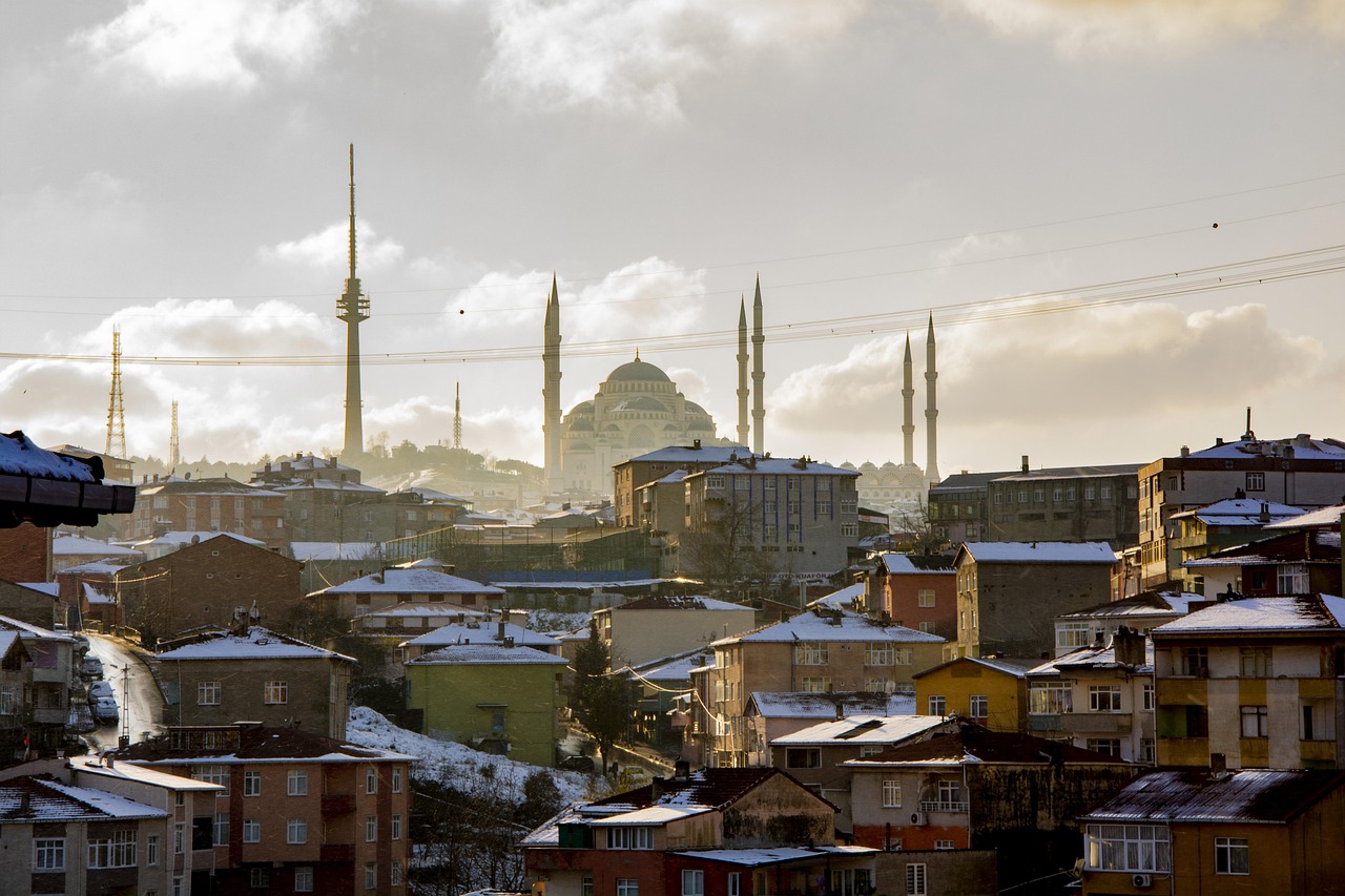 长乐碧桂园最新动态,绿色力量引领城市发展新篇章