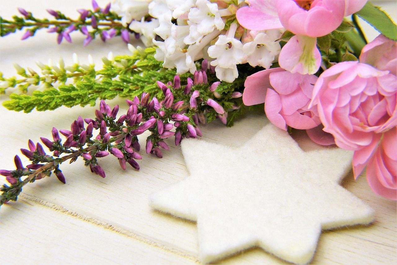 梦见明星签名,启示与感悟的梦幻之旅