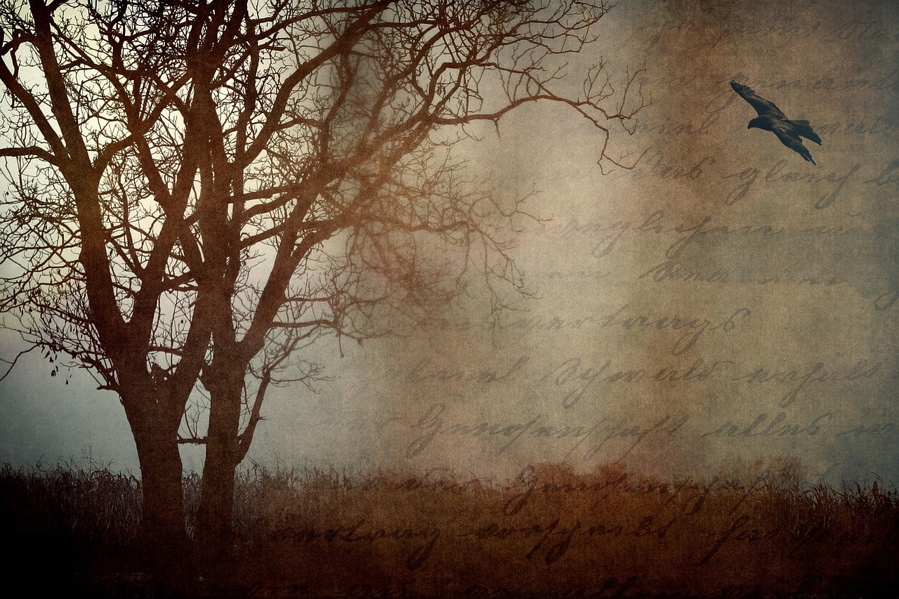 电影起源探秘,从无声到辉煌的影像艺术之旅