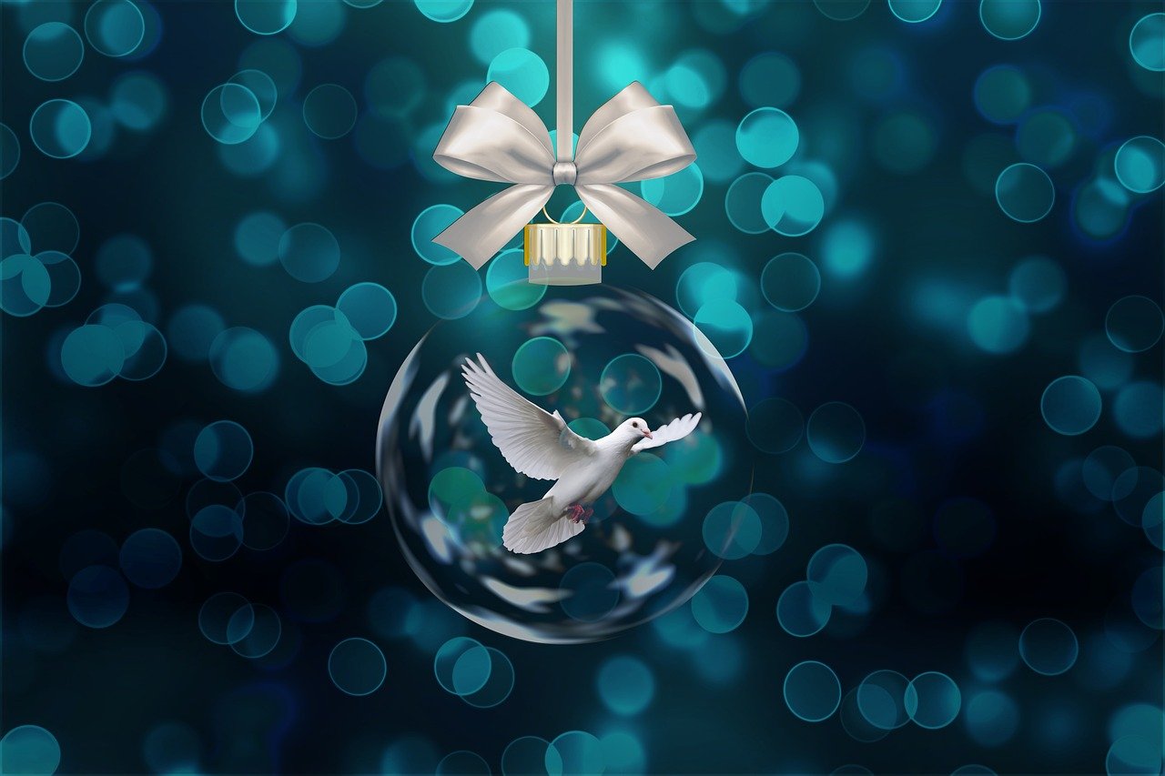 北大的明星,璀璨光芒照亮青春梦想之路