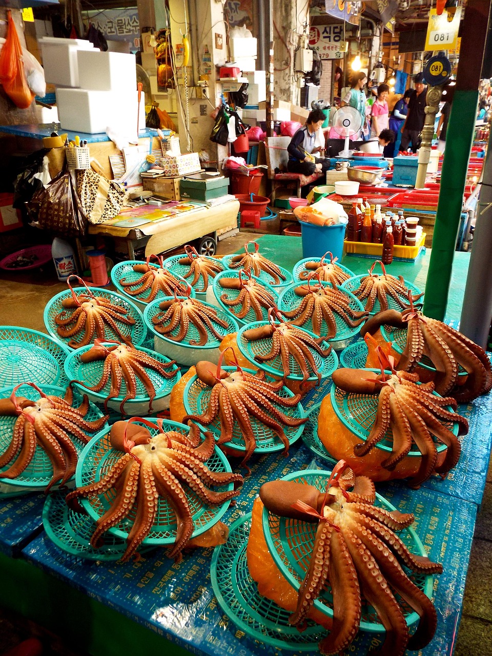 最新财神画像,传统与现代融合之美风采展示