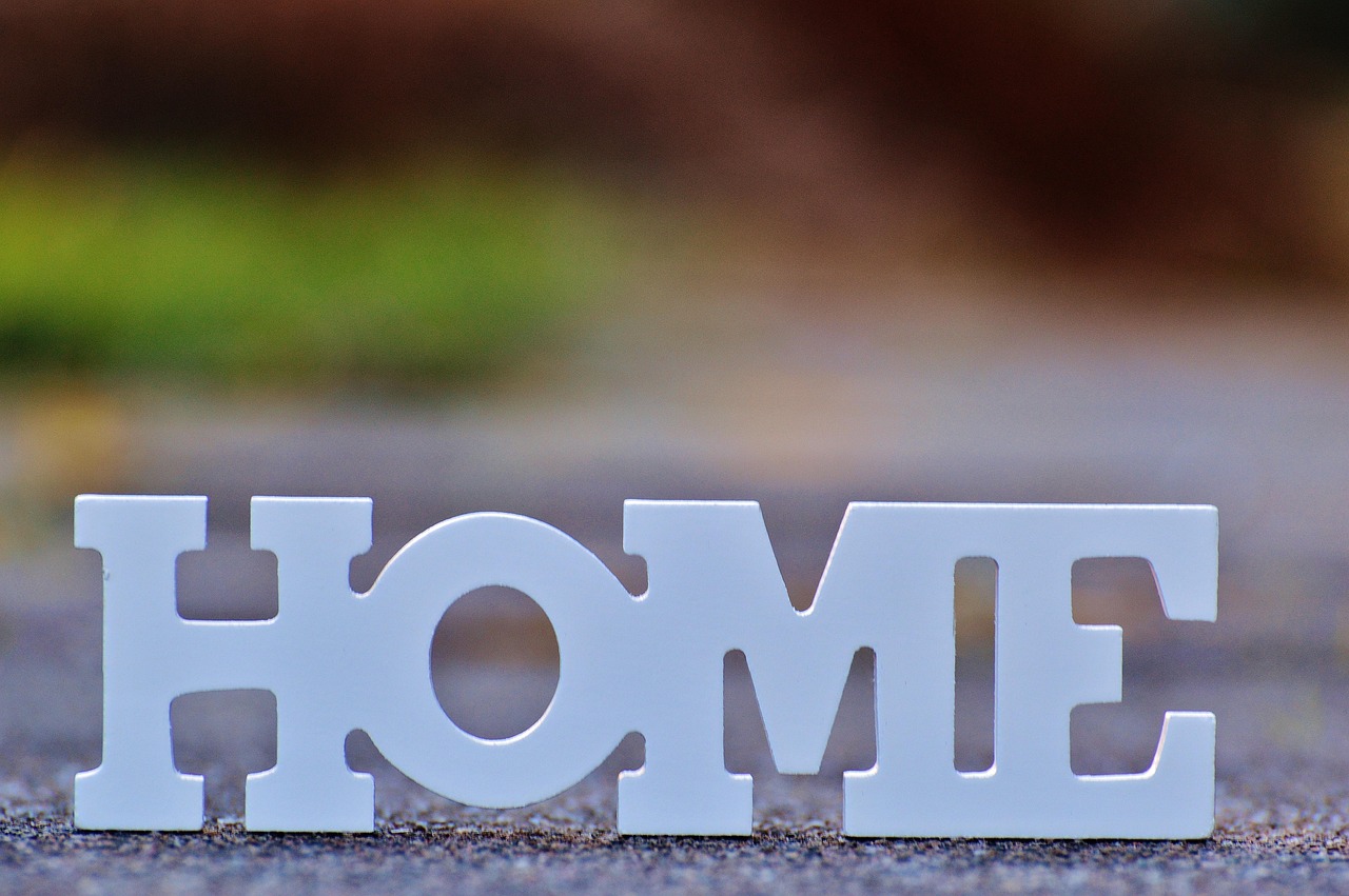 最新翻译素材,探索语言世界的桥梁与纽带