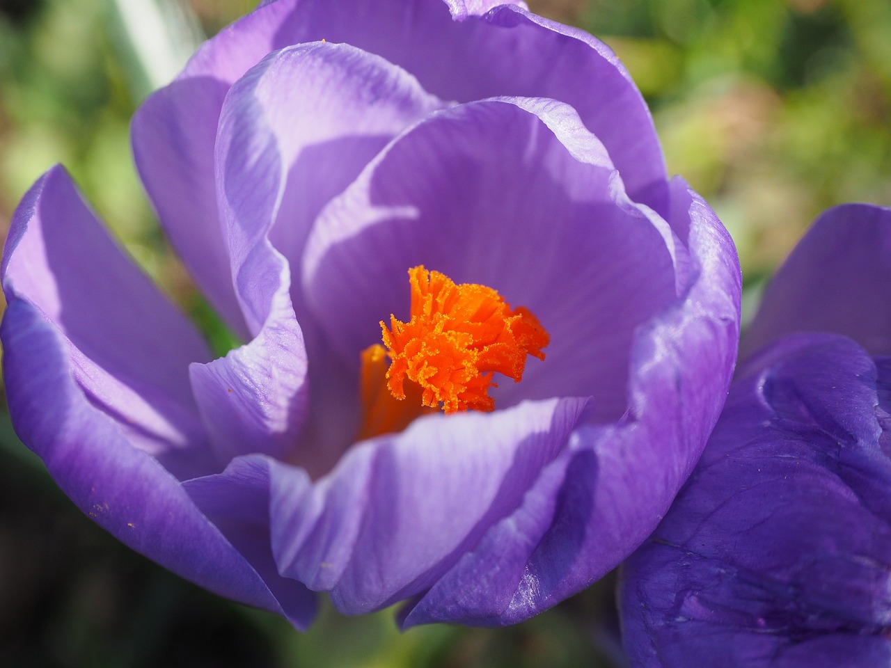 荆州最新发展动态及未来展望