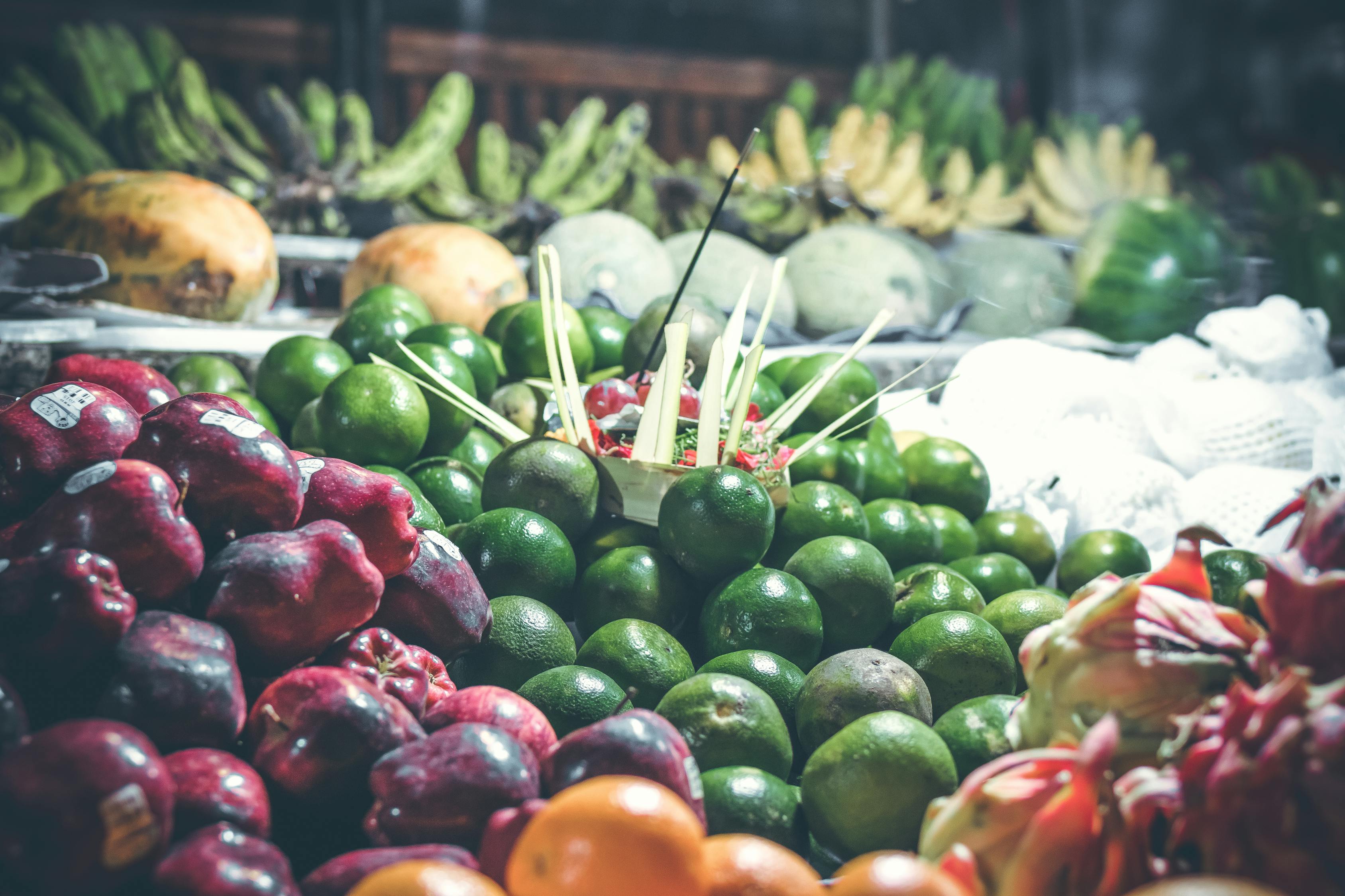 2017年元宝枫价格行情回顾与展望,市场行情分析与预测