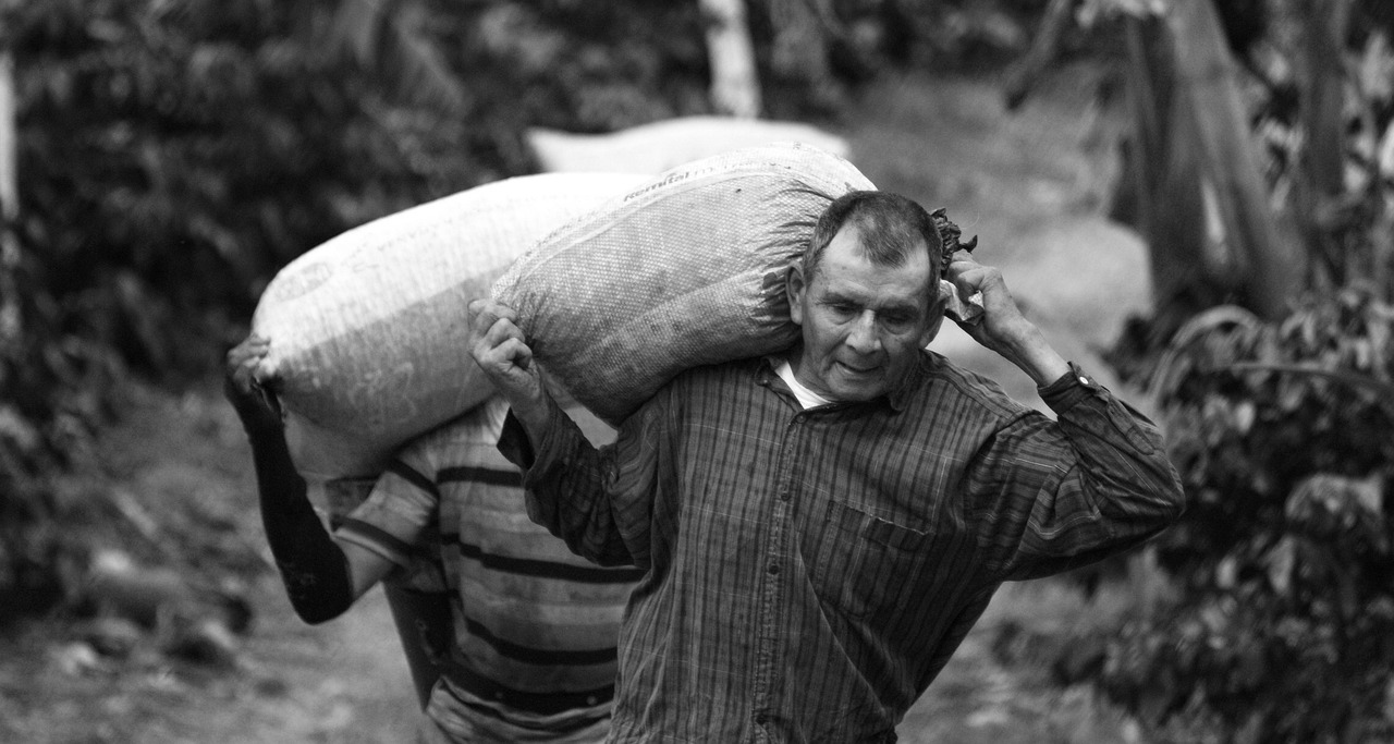 山东水泥集团引领行业变革,推动可持续发展最新动态