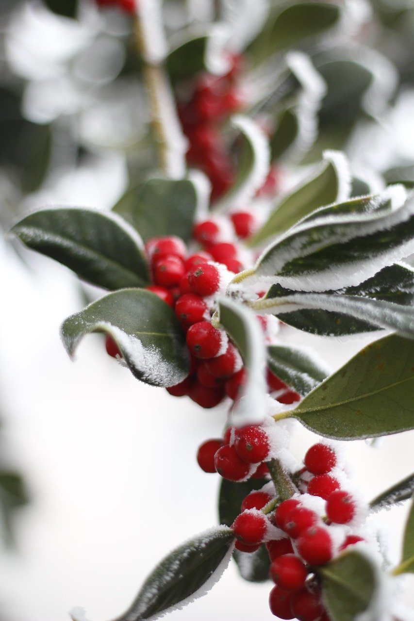 天生小仙女 第11页