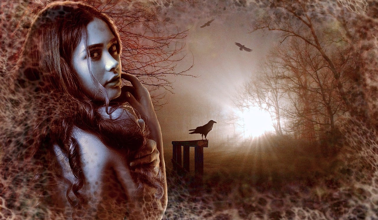 十二电影,探寻银幕背后的故事与传奇