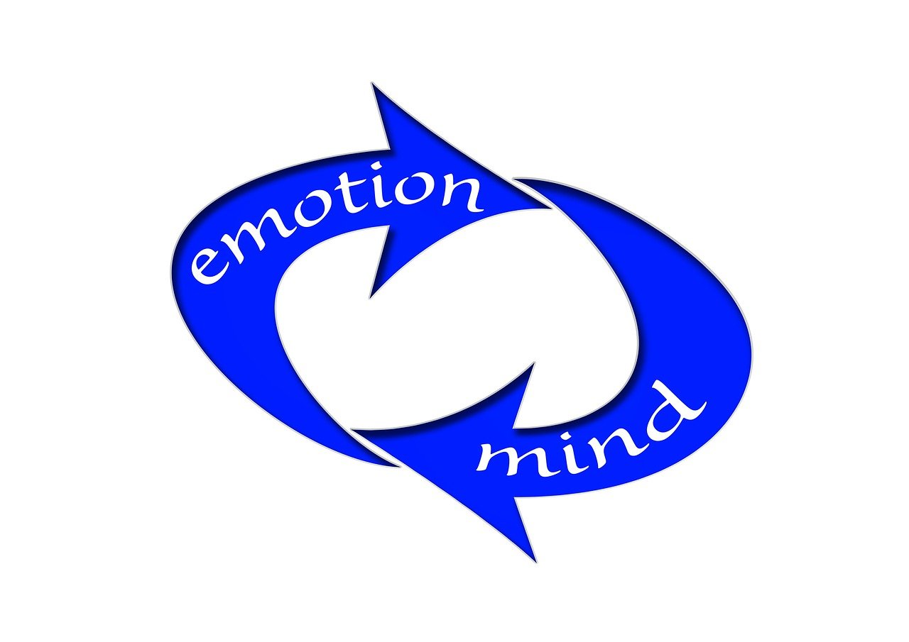 科技竞赛精彩瞬间,智慧与创新的碰撞图片展