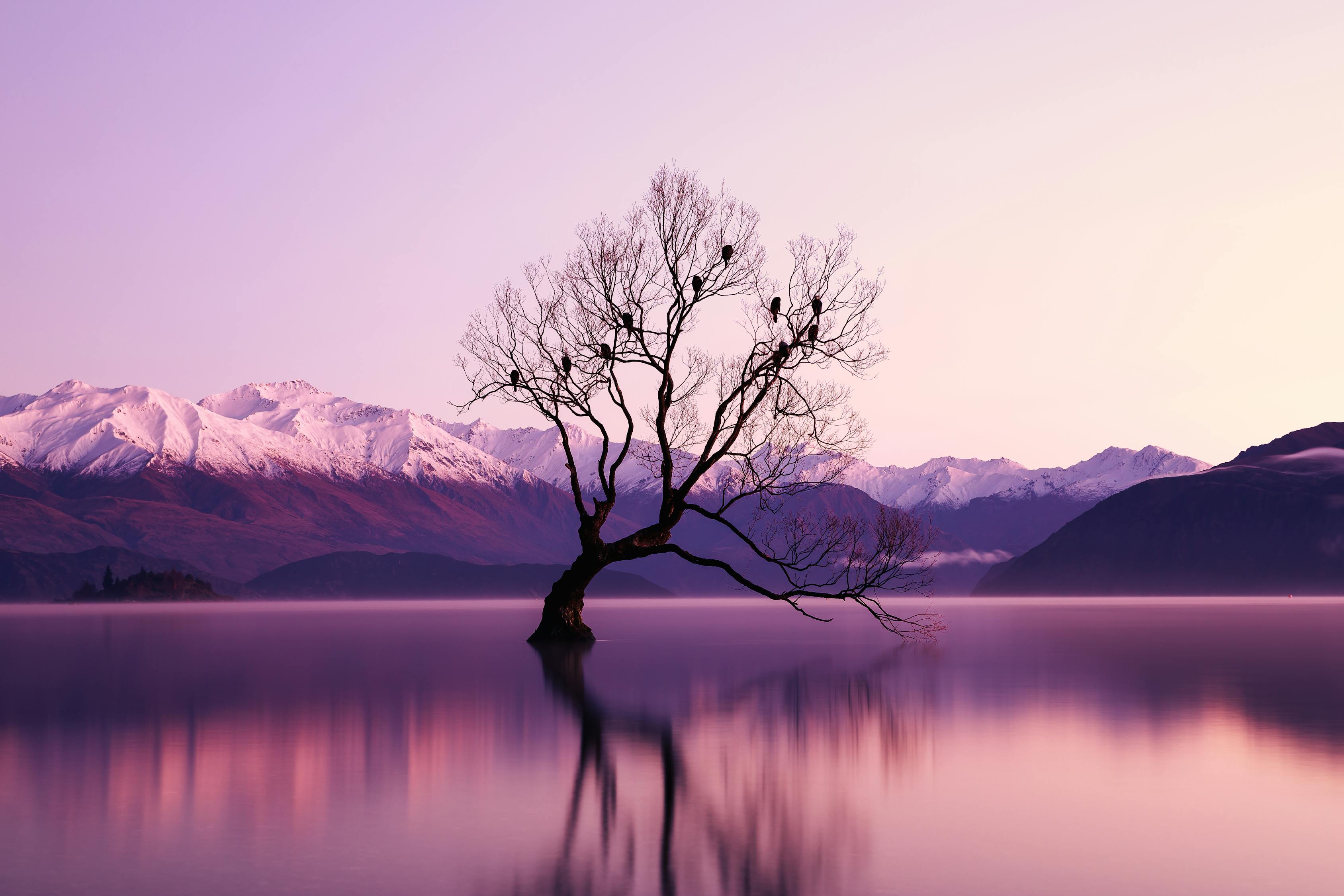 人生若如初见电视剧,探索人生的多重面貌与初次相遇的悸动时刻