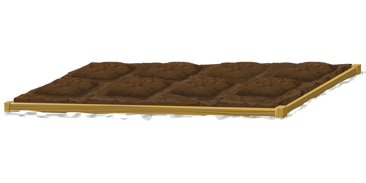 最新耕地动态,推动农业现代化与土地资源可持续利用的发展之路