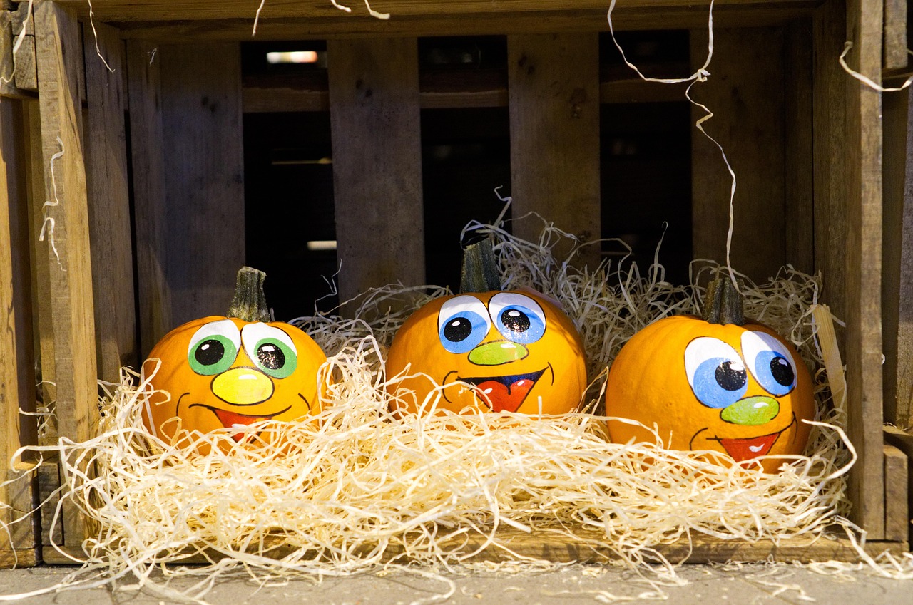 三月我的加菲猫最新版本更新来袭!