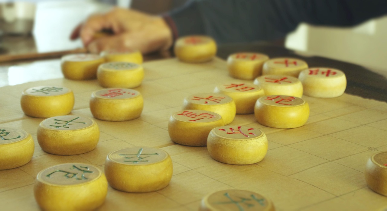 三月菊花鱼比赛,视觉盛宴的图片展示