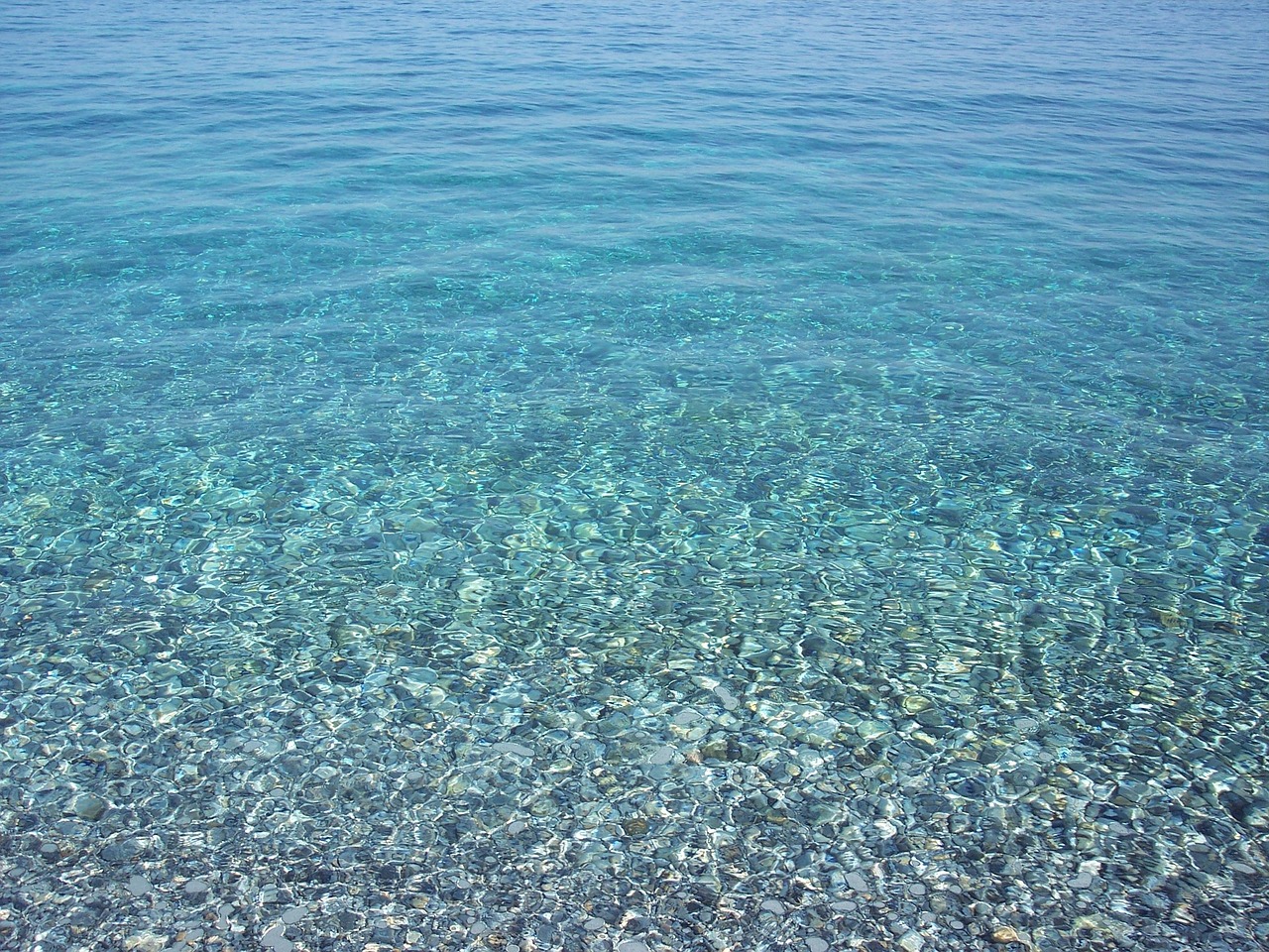 三月平原最新疫情动态更新