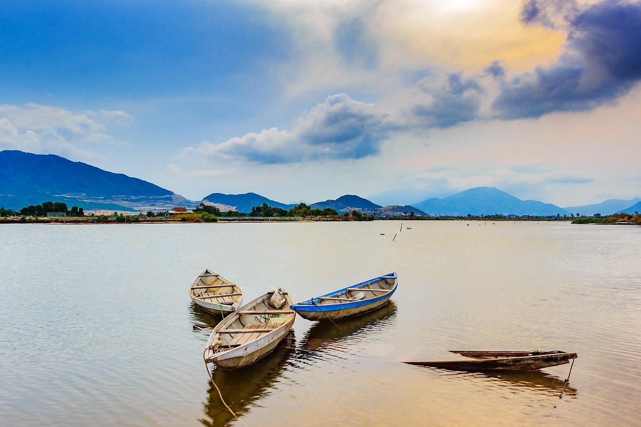 三月国有上市公司股权转让动态解析