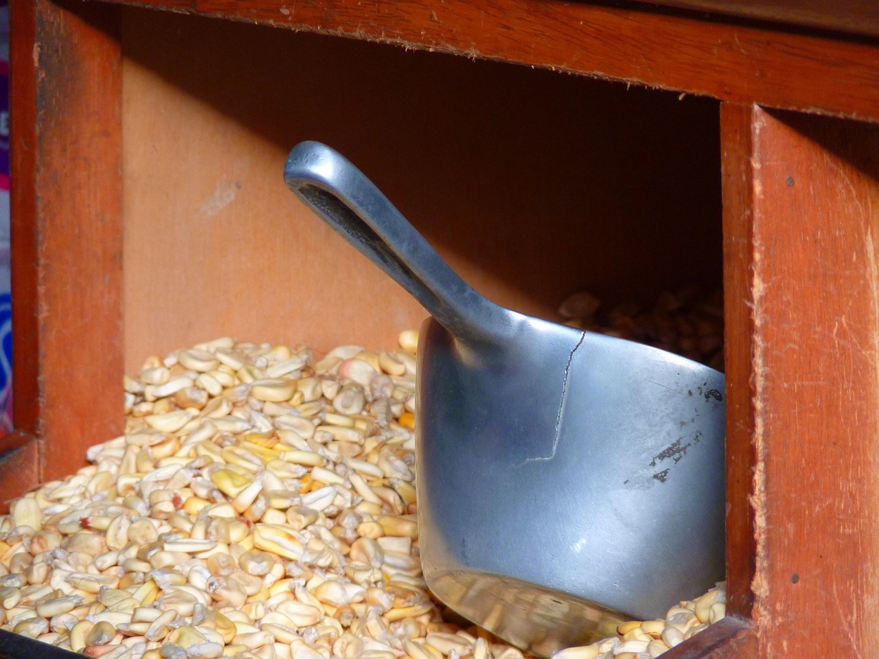 双塔食品股价最新动态及市场走势分析与展望