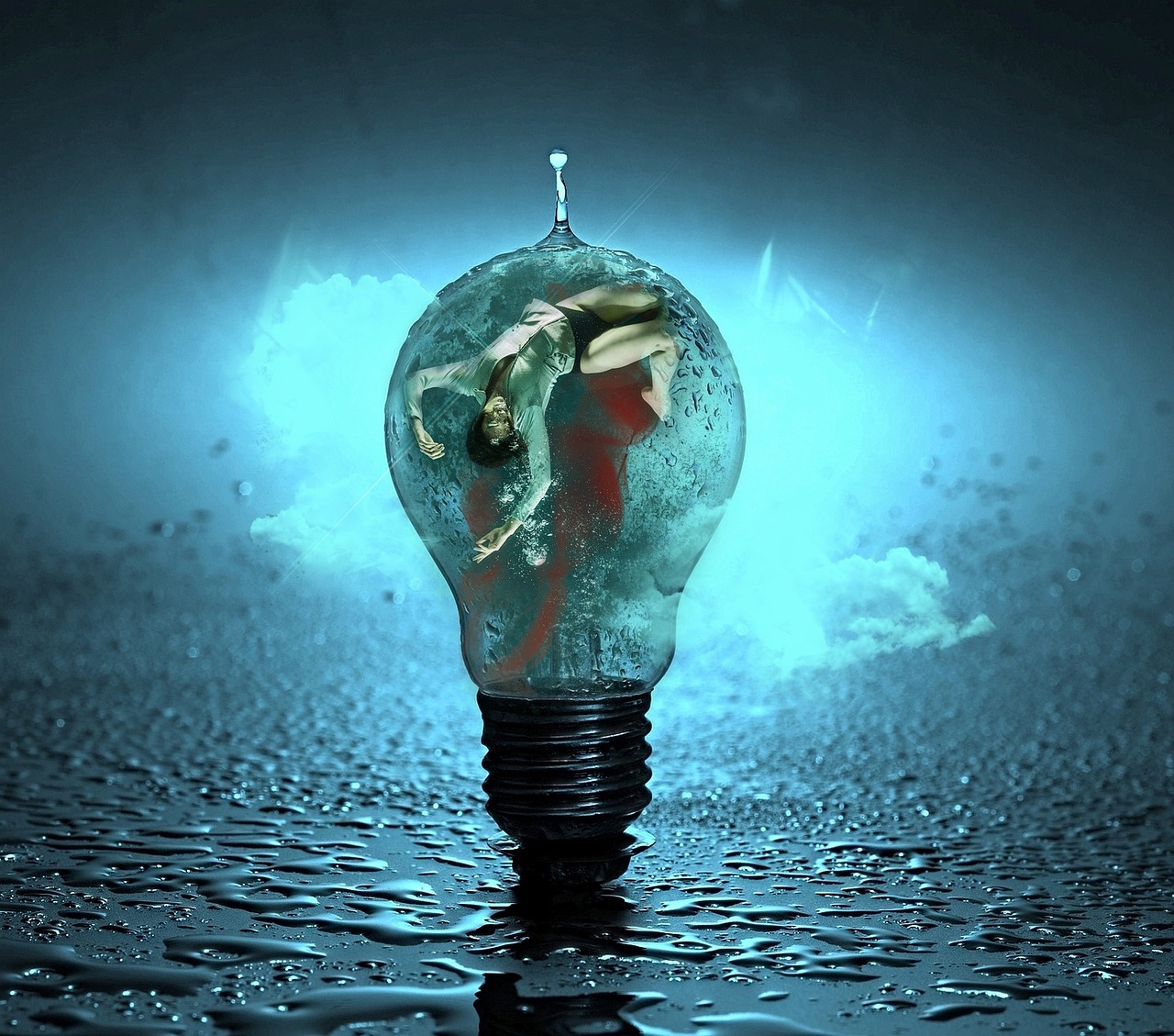 四月食人鱼2电影,深度剖析与反思的启示