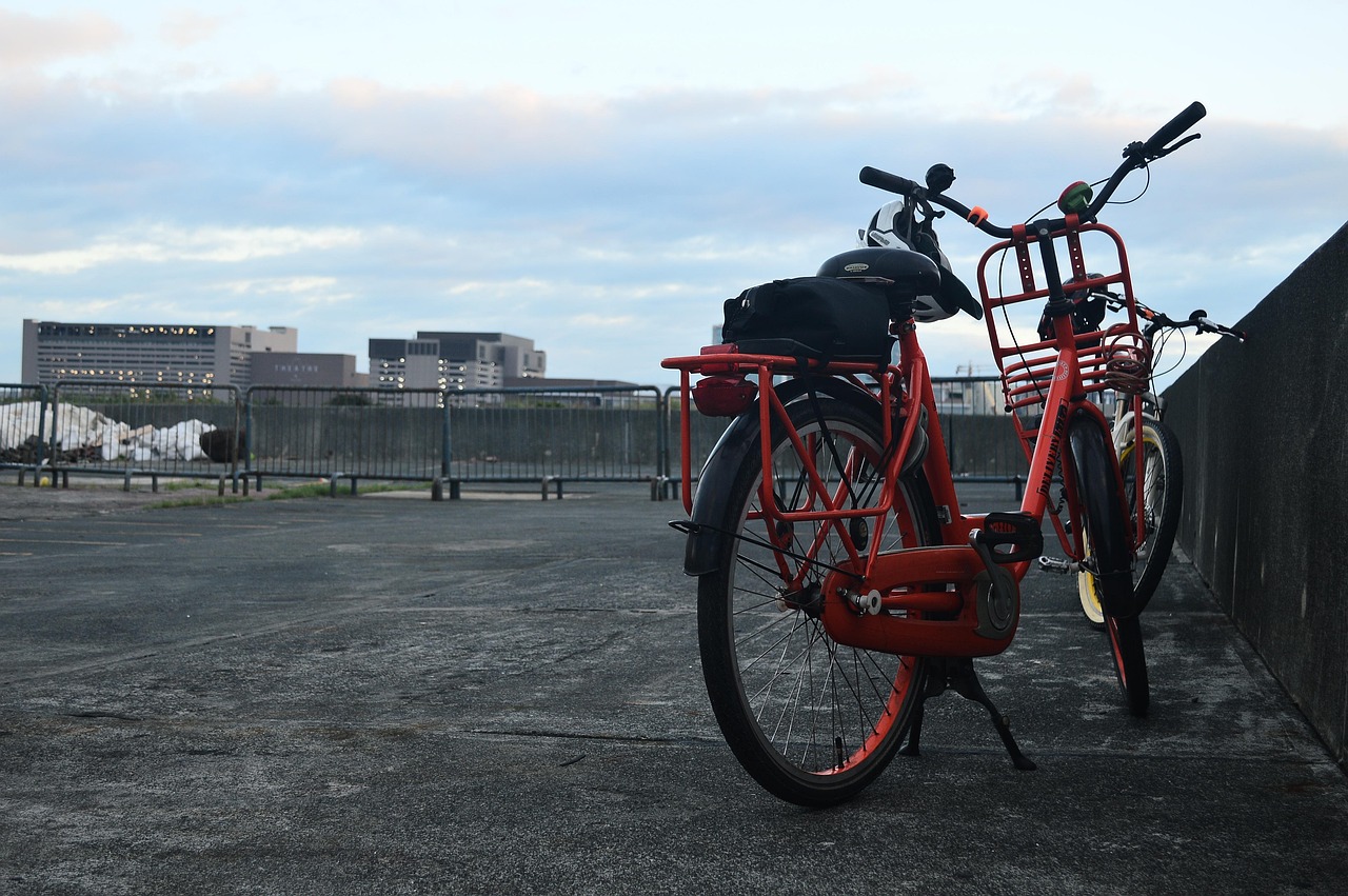 范冰冰五月最新动态,事业新高峰与生活点滴揭秘