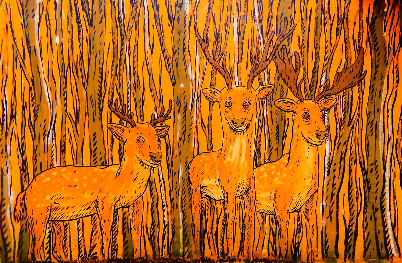 五月艺术盛宴,画画比赛参考图片大全与灵感源泉