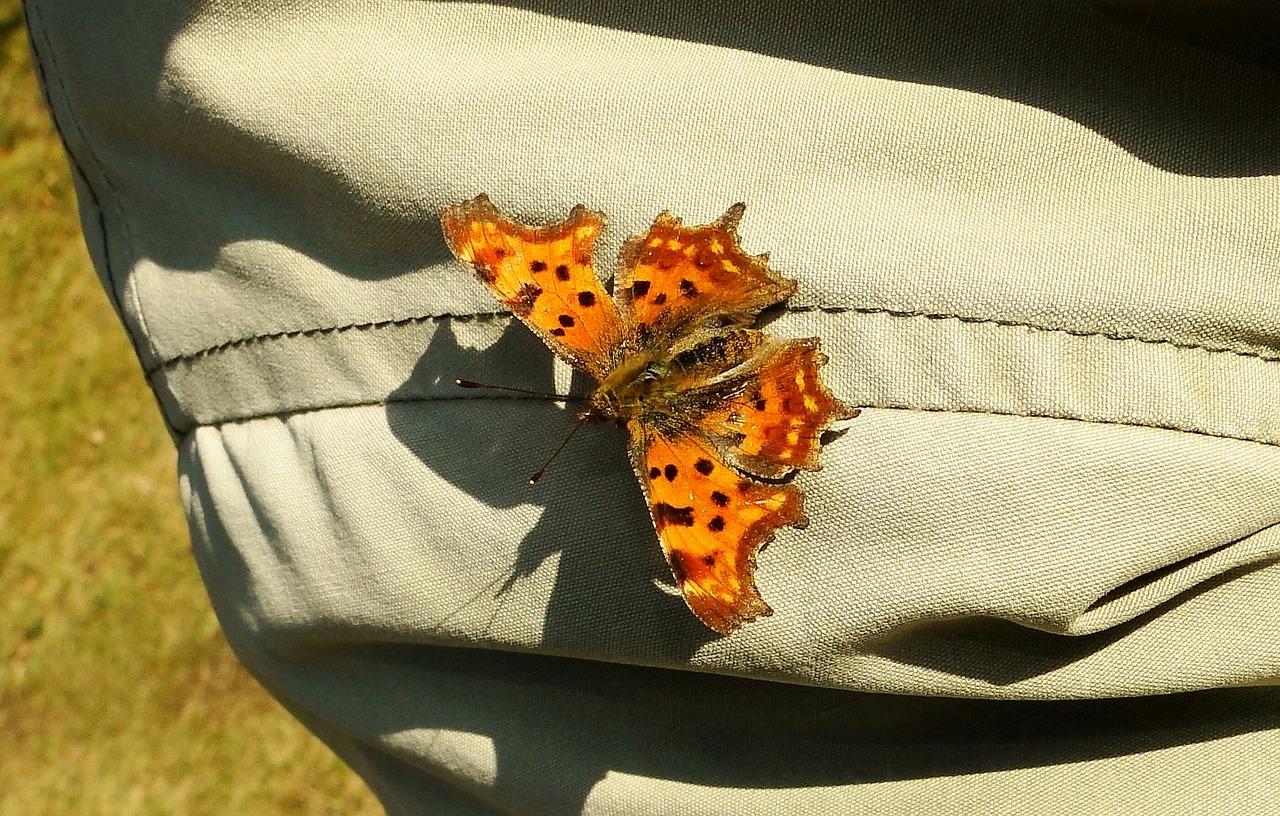 5月奥维通信最新消息深度解析,洞悉行业动态与趋势