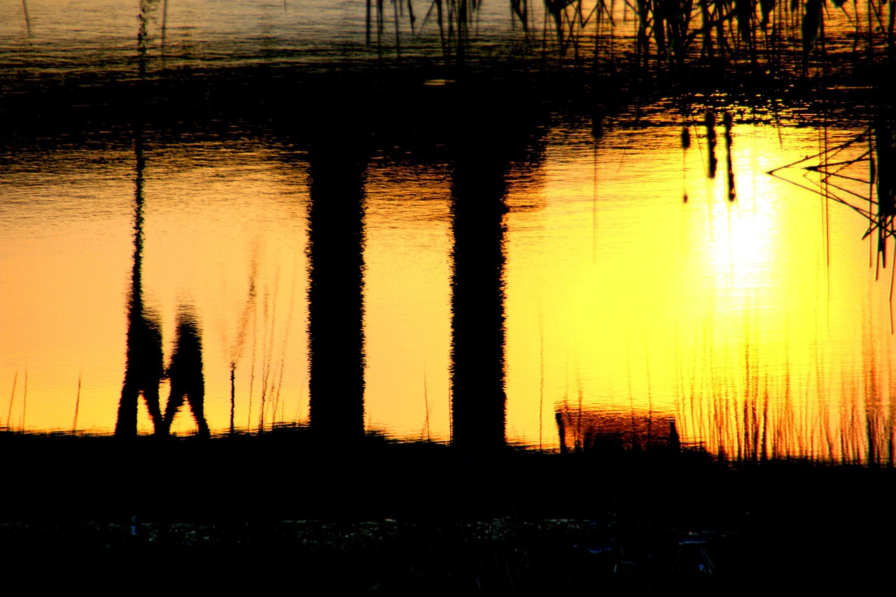 五月繁荣行情,探寻机遇与交织之美