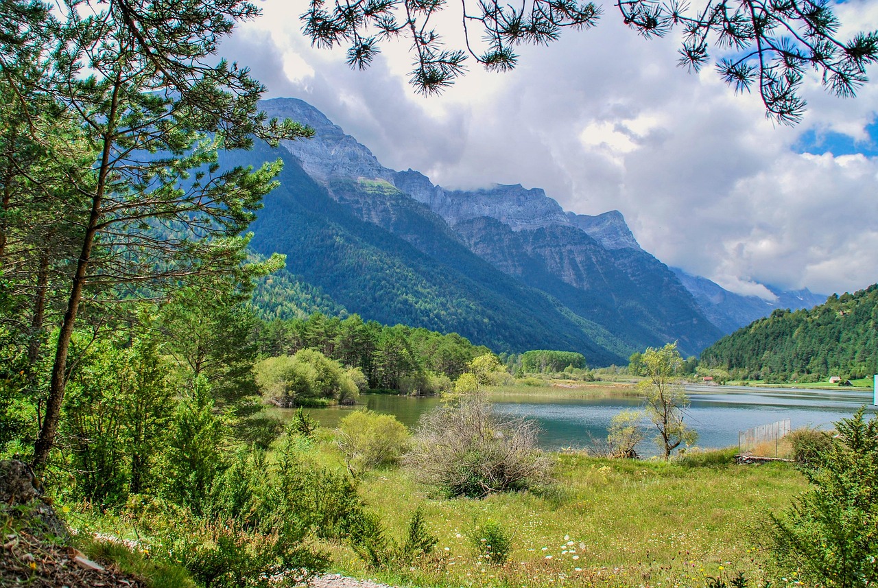 五月美国政策动态观察报告,最新政策动态及分析