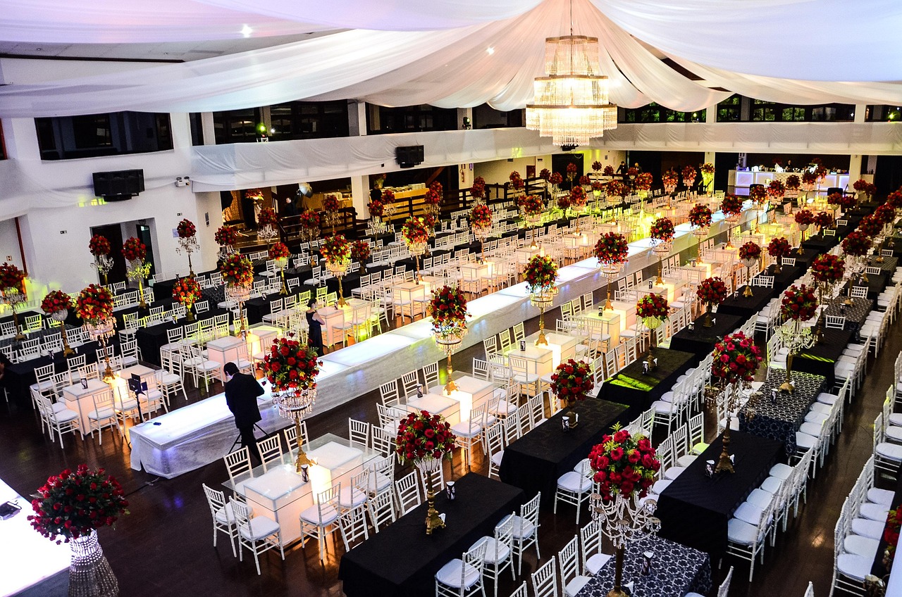 五月动漫熊猫头像,萌动文化与流行魅力的完美结合