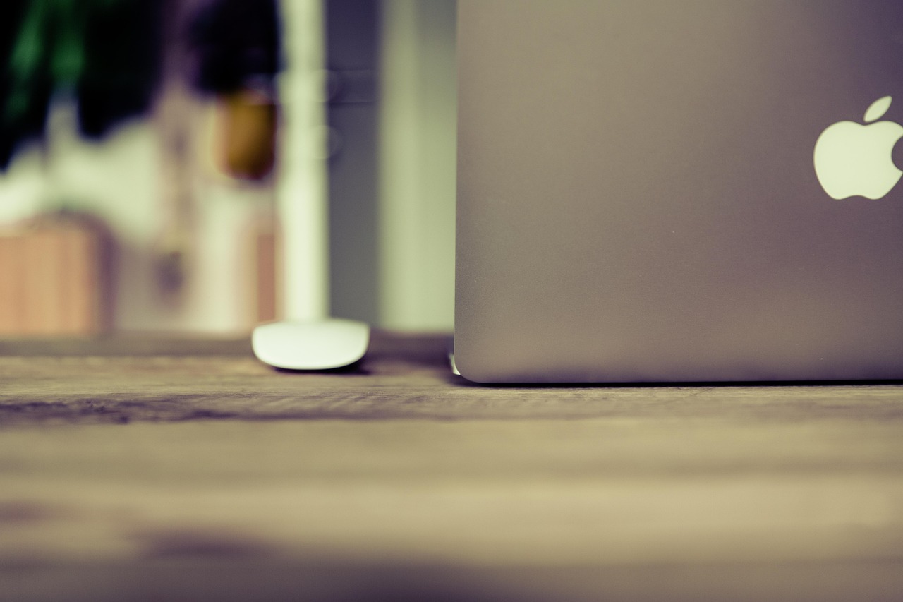 五月动漫熊猫头像,萌动文化与流行魅力的完美结合