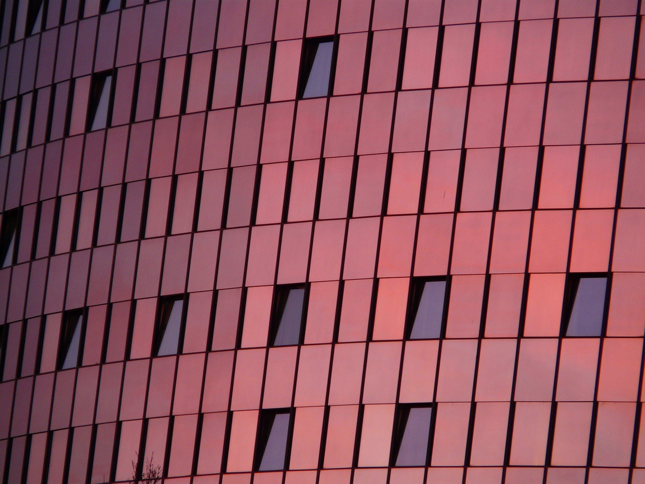 惠东近期房价五月动态,探索新趋势与房价分析