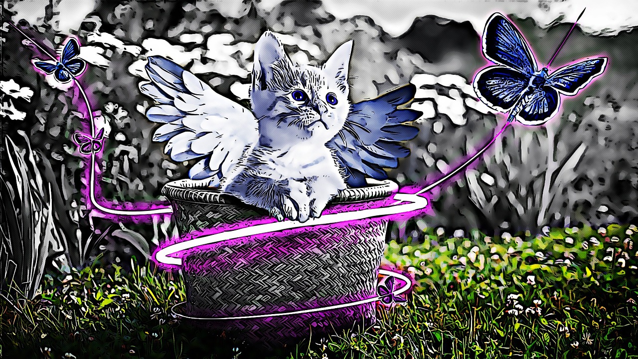 五月篮球赛场上的胜利颂歌,荣耀之战的胜利赞歌